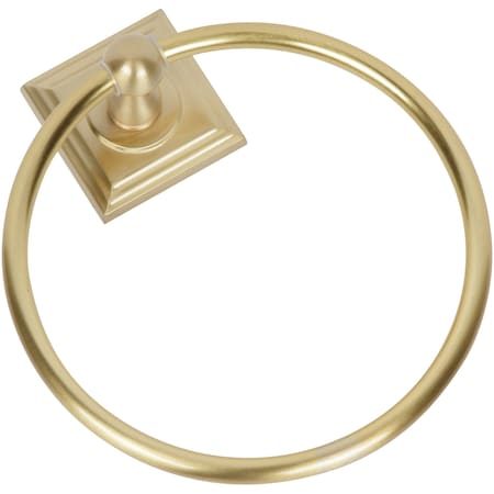Delaney Hardware 700 SERIES US4 TOWEL RING 520500